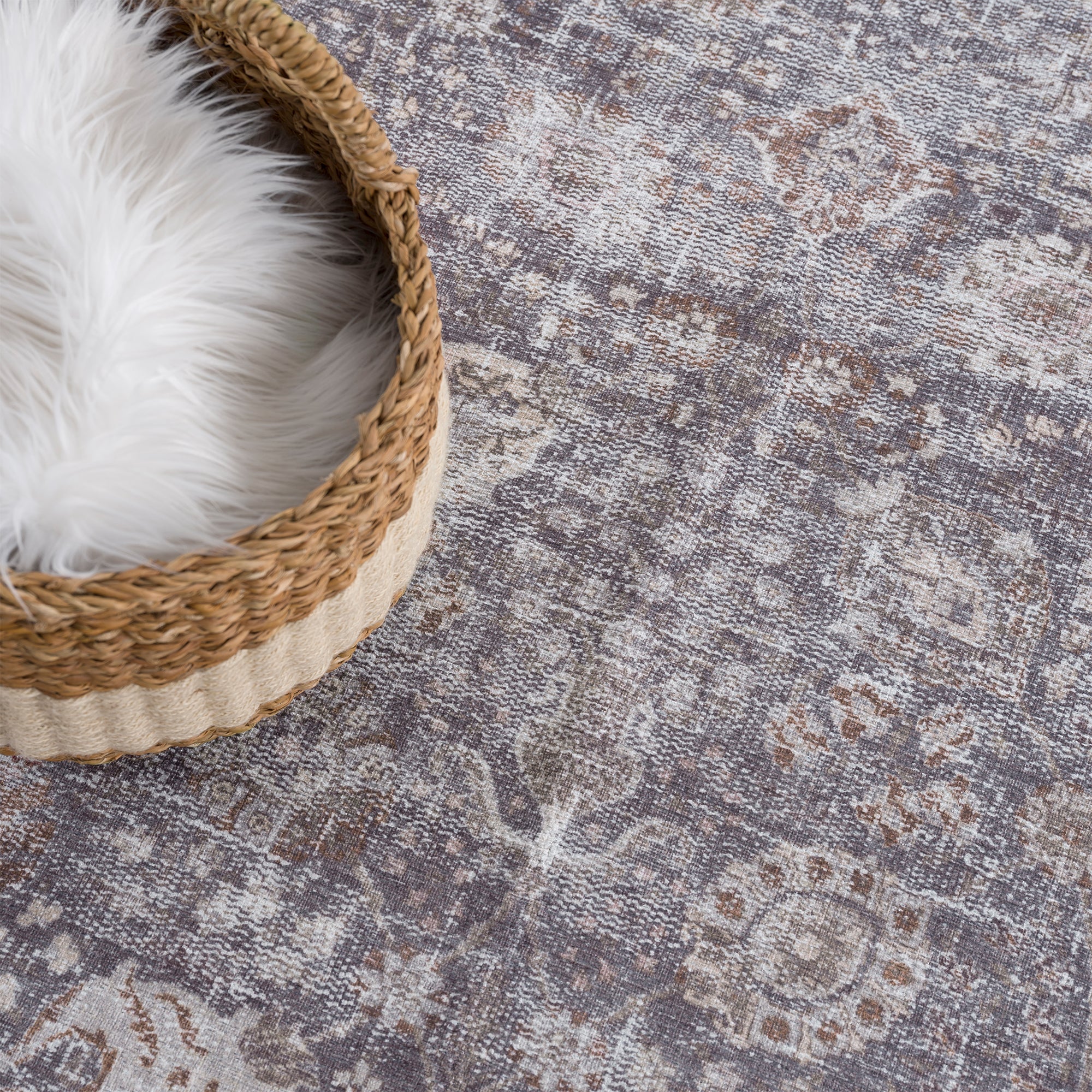 Ionia IO-06 Traditional Washable Rug - Image 9