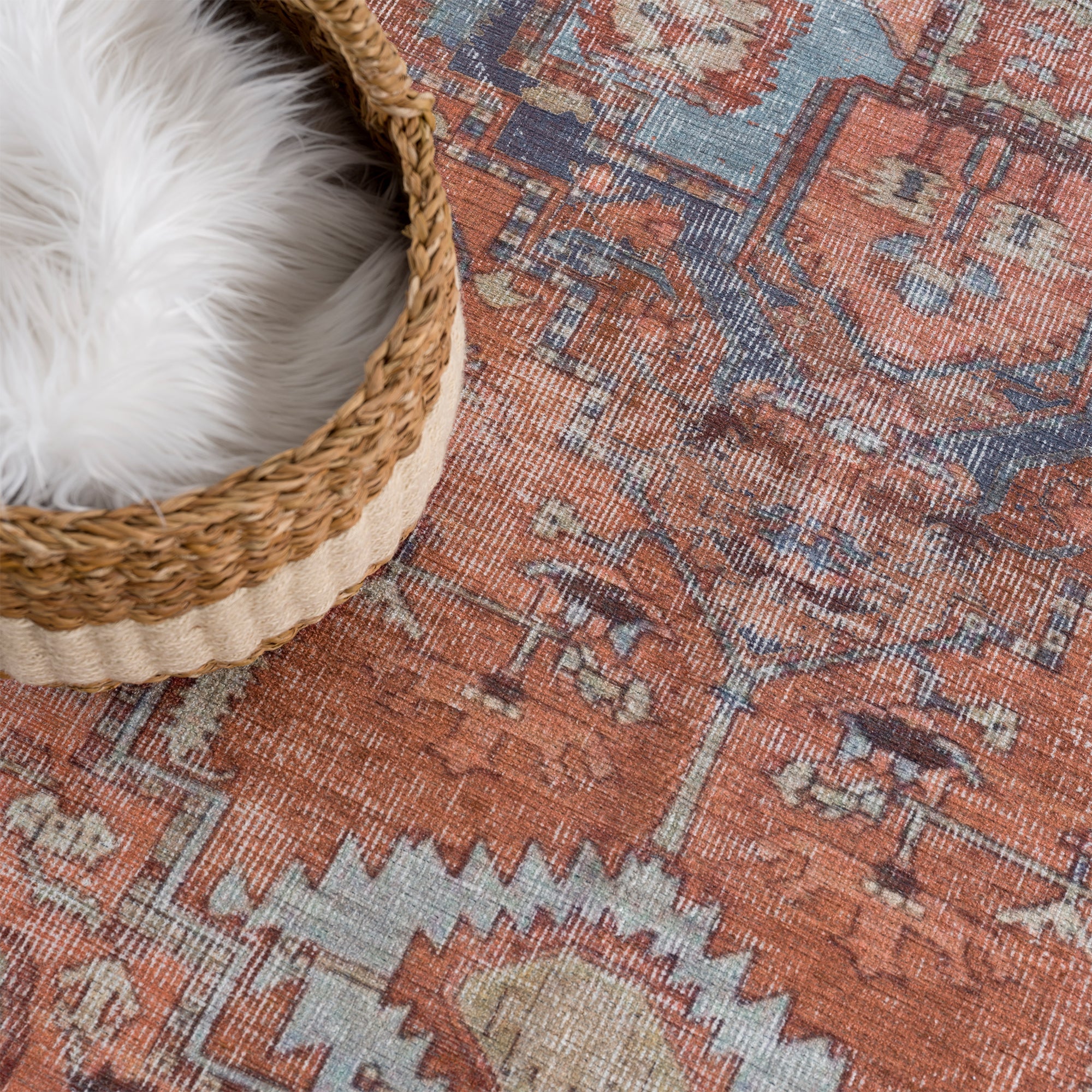 Ionia IO-11 Traditional Washable Rug - Image 9